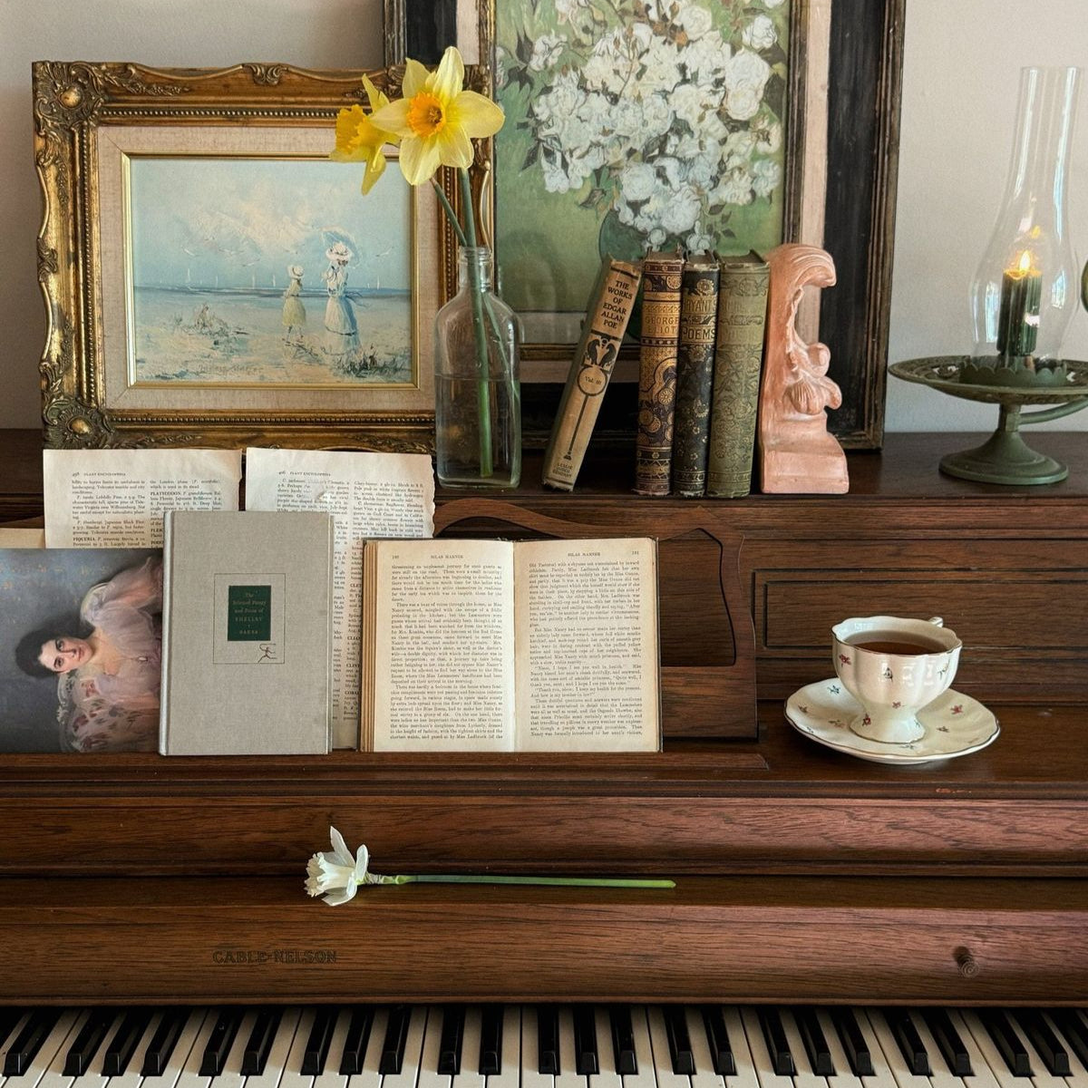 "heilani" business, personal and family protection combo (music version)